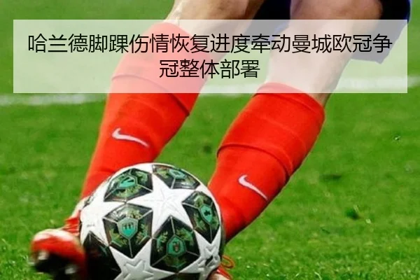 哈兰德脚踝伤情恢复进度牵动曼城欧冠争冠整体部署